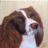 Jean Walker. Springer Spaniel. Acrylic 8'x8' canvas. £30. ( Also available in print @ £20)