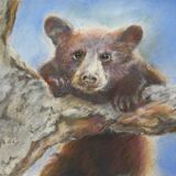 Marjorie Scott. Oops!. Pastel. Framed. £75