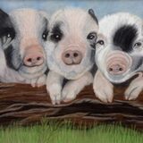 Jean Walker. ''Three Little Piggies'' Acrylic on block canvas. £50