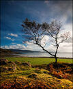 Arisaig