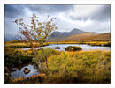 Autumn Rannock Moor