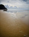 Waters Edge