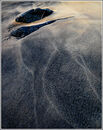 Beach Abstract