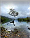 Autumn Stillness