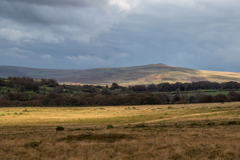 Storm Clouds Gathering
