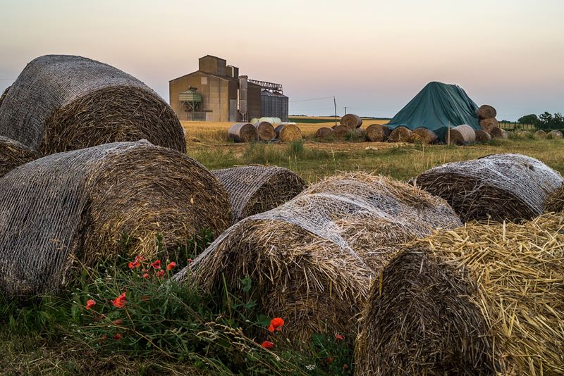 Harvests past and future