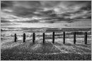 2019/20 Print of the Year - LANDSCAPE