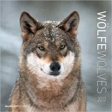 Titelcover Kalender "Wölfe 2017"