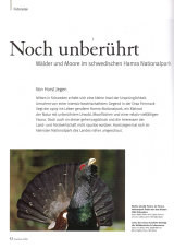 Artikel in Naturfoto 05/2016 über den Hamra Natioalpark in Schweden