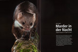 Artikel Naturfoto"Mai 2004"