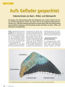 Artikel...