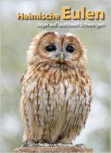 Heimische Eulen
