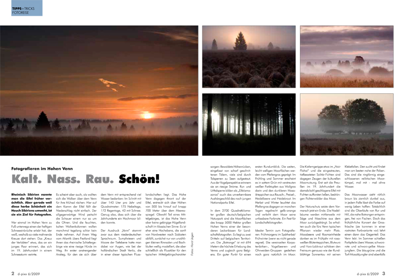 Article text