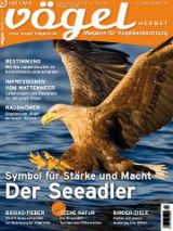 Artikel
