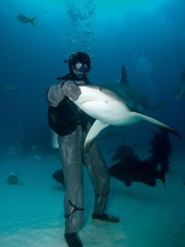 My shark week
