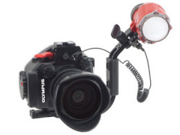 PT-EP12 D4 set