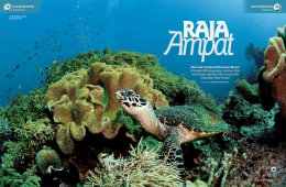 raja ampat