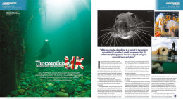 underwater essentials