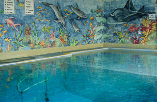 ov shop pool