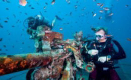 kho tao small