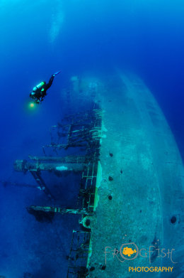 wreck for advice