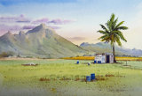 Tending the Crops, Mauritius
