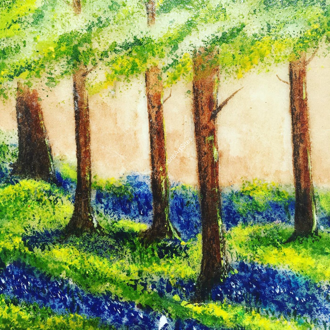 Woodland Bluebells