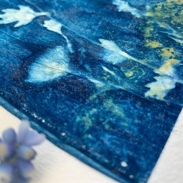 Closeup 3