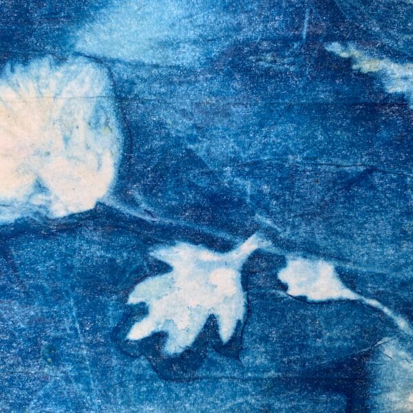 Closeup 6
