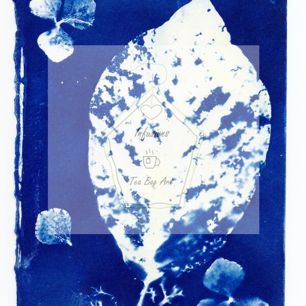 Cyanotype 2084.jpg Original Framed Watermark - Copy