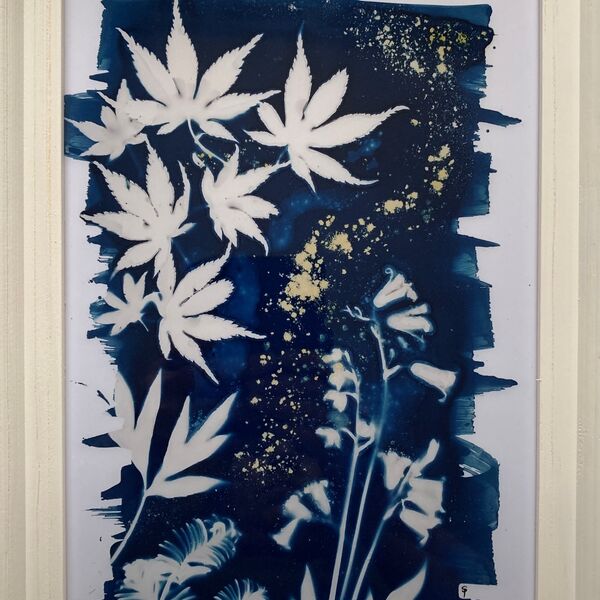 Everlasting Bluebells Cyanotype