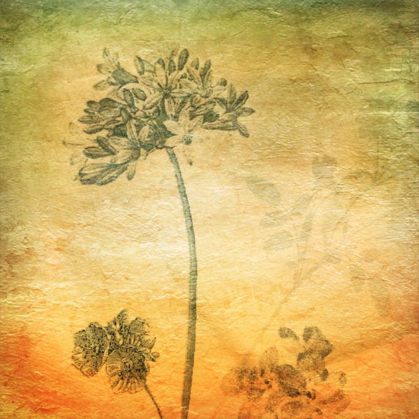 SHOP - Digital Junk Journal Papers