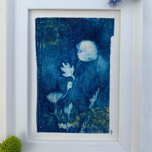 Mini Crysanthemum Framed