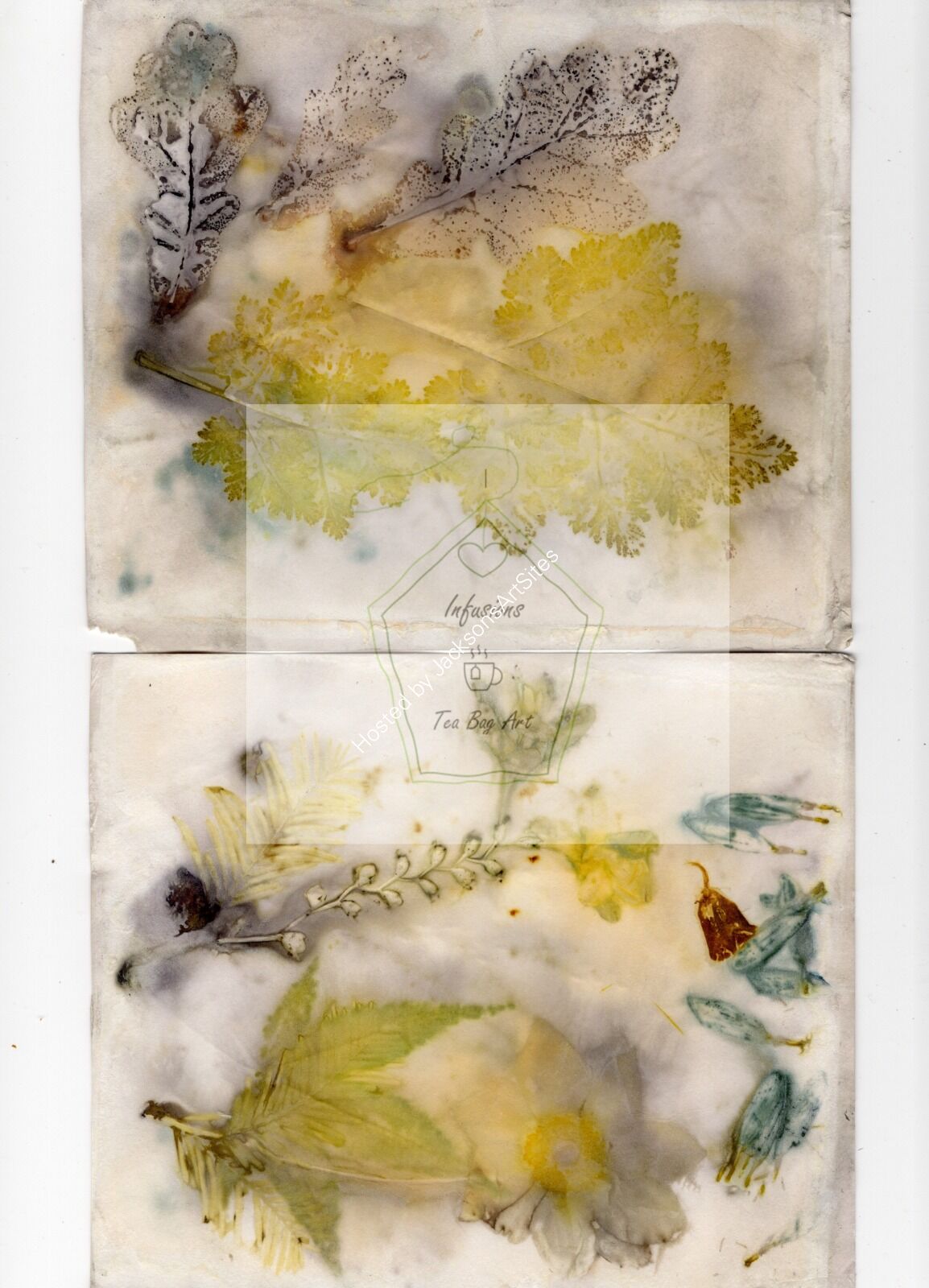 Set 1 - Eco Prints 300dpi (1)210 cropped - Watermark