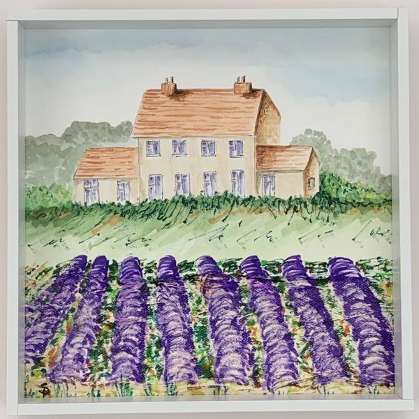 Snowshill Lavender Fields