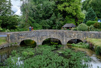 Bidbury Trout Bridge