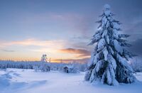FINNISH WINTER SUNSET