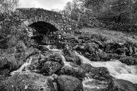 2021-22 Monochrome competition