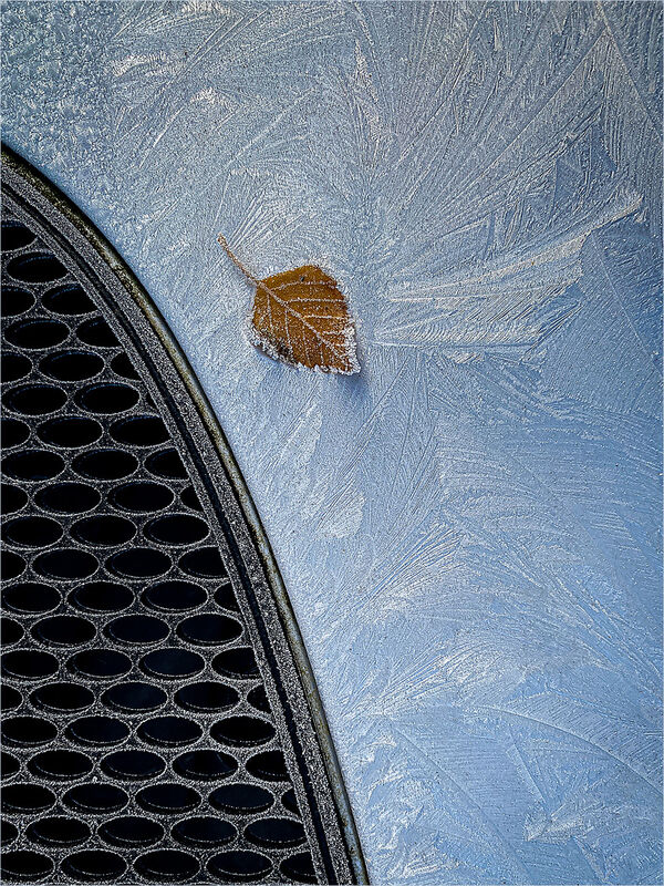 FROST ABSTRACT