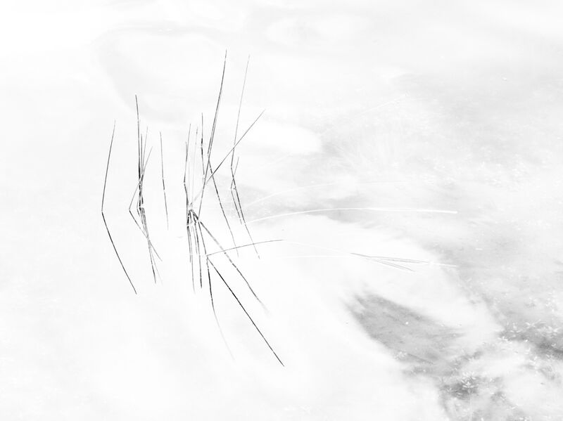 GRASS AND WATER