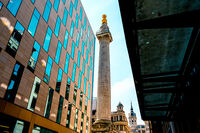 MONUMENTAL SUNSHINE