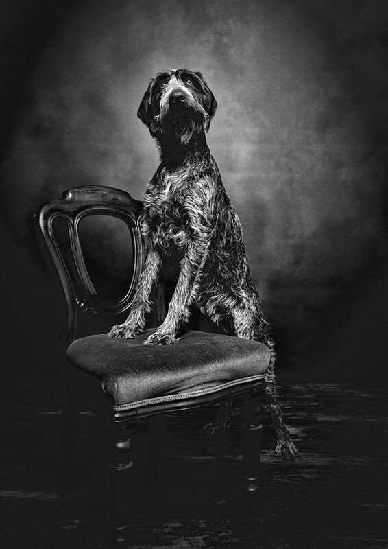 THE BEST SEAT IN THE HOUSE