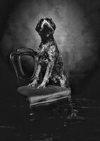 THE BEST SEAT IN THE HOUSE