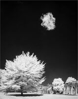 THE CLOUD