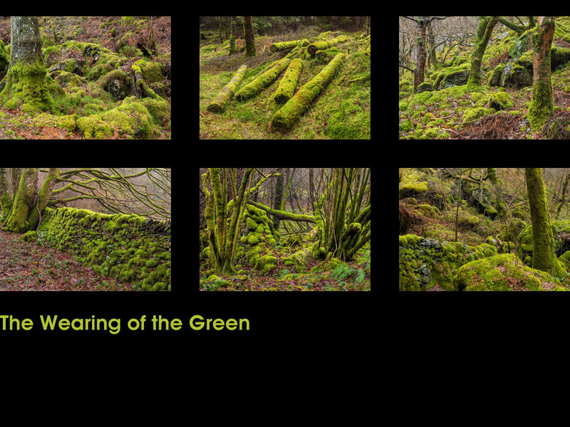 THE WEARING OF THE GREEN