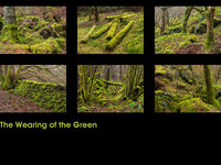 Panels competition 2025-26