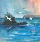 Diving Gannets 3