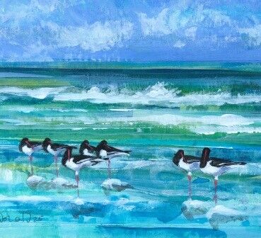 Oystercatchers vii