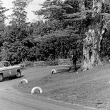 HILL CLIMB - Fintray 04 June, 1967, (Unknown driver in his Ford Anglia at the Hairpin)
