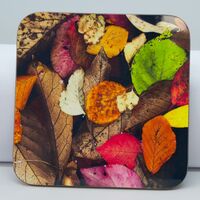 Coaster, 'Colourful Puddle'